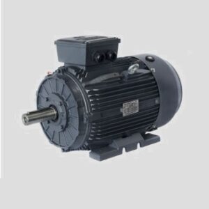 Motor eléctrico Techtop modelo T3CR160L-4 1500 r.p.m. 15 KW. B5 400/690 V.