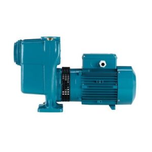 Bomba centrifuga autocebante Calpeda B-A 80-170A/A 7.5 KW. 400/690 V. - Imagen 3