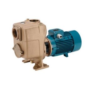 Bomba centrifuga autocebante Calpeda AM 40-110A/A 0.75 KW. 230 V. - Imagen 3