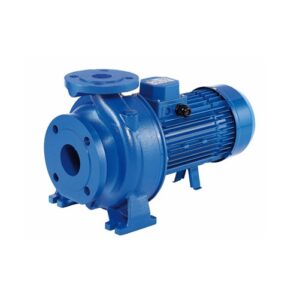 Bomba centrifuga monobloc Ebara 3D/E 32-125/1,1 M 1.1 KW. 230 V. - Imagen 1