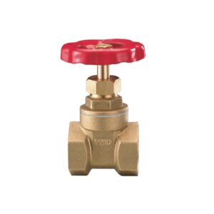 Valvula de compuerta laton con rosca 2-1/2" cierre metal PN-10 - Imagen 1