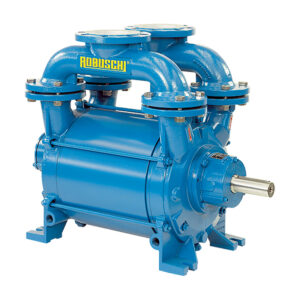 Bomba de vacio Robuschi modelo RVS 23/TM Exec. 09 (a eje libre) - Imagen 1