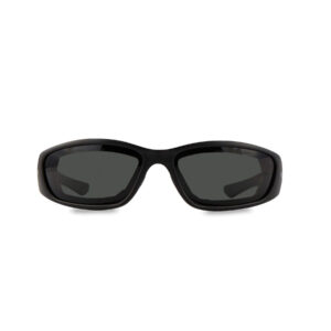 Gafas de proteccion Pegaso modelo F1 art. 990.02 EAN 8436010312499