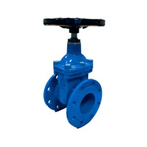 Valvula de compuerta fundicion cierre elastico con bridas DN-50 PN-10/16