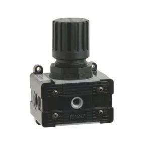 Regulador Aignep REG3 0-8 bar con rosca 1" T020309030000 - Imagen 1